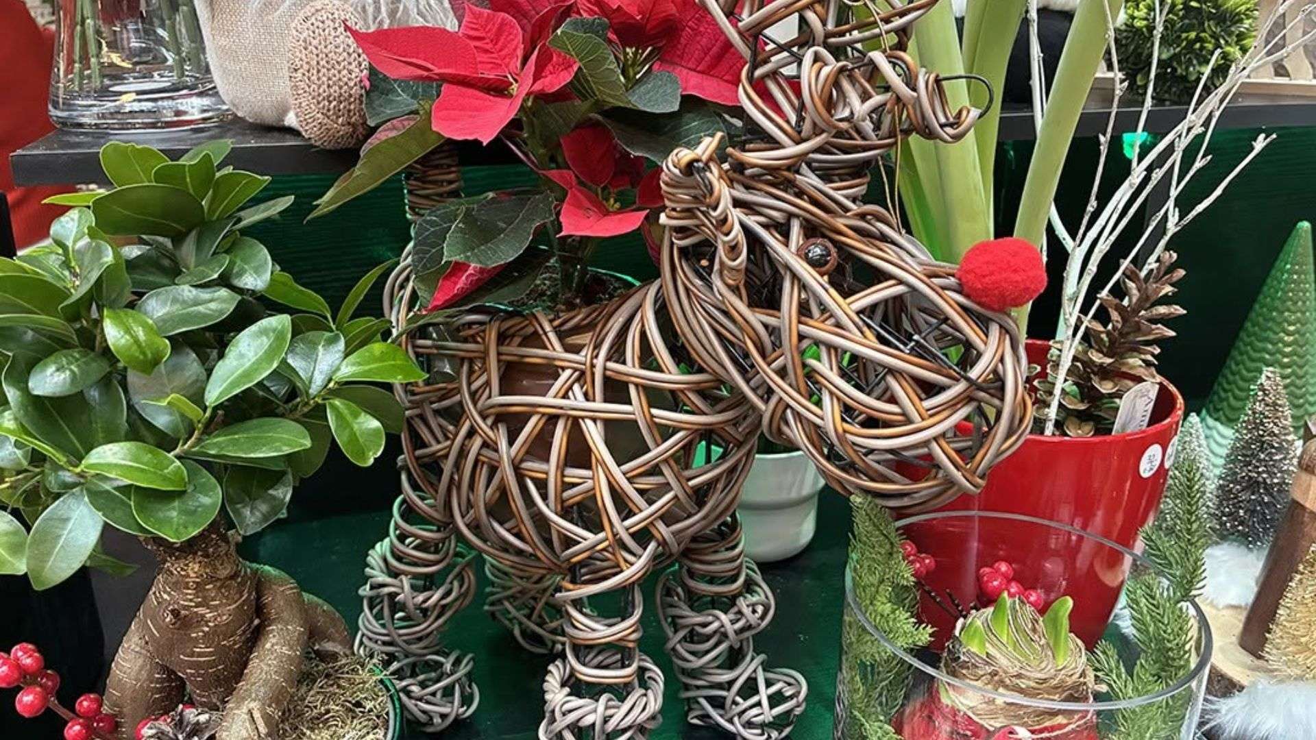 Fleuriste (1)